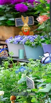  Hidden Flowers oyna