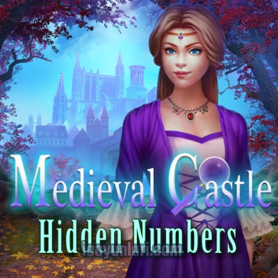Medieval Castle Hidden Numbers