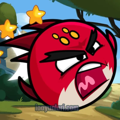 Hero Birds Hidden Stars